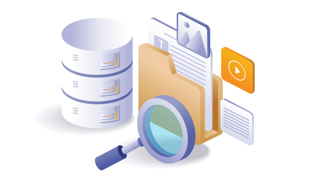 IT Audit